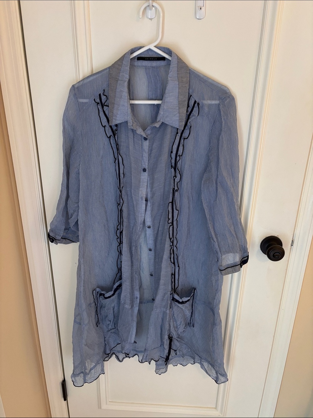 Animale Light Blue Sheer Button-Up Tunic with Ruffle Trim